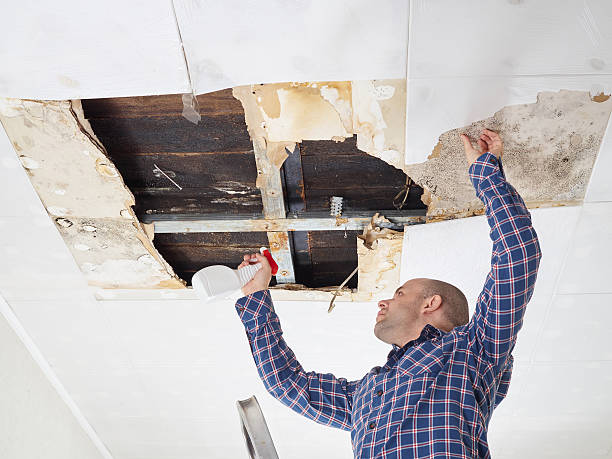 Best Post-Construction Mold Inspection  in Saratoga, WY